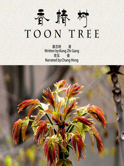 Cover image for 香椿树